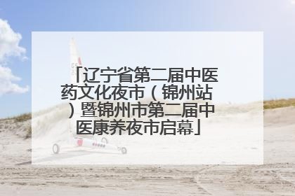 辽宁省第二届中医药文化夜市（锦州站）暨锦州市第二届中医康养夜市启幕