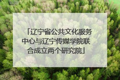 辽宁省公共文化服务中心与辽宁传媒学院联合成立两个研究院