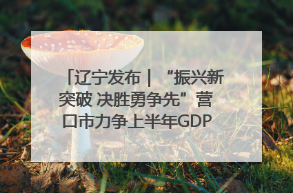 辽宁发布｜“振兴新突破 决胜勇争先”营口市力争上半年GDP增长6%左右