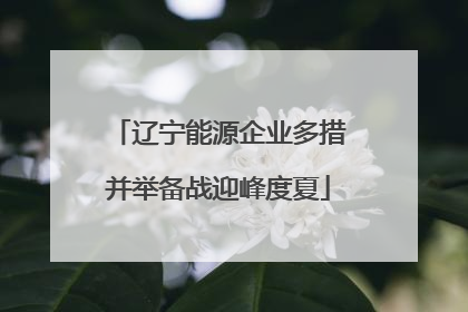 辽宁能源企业多措并举备战迎峰度夏