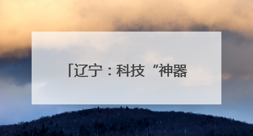 辽宁：科技“神器”为农田夏管护航