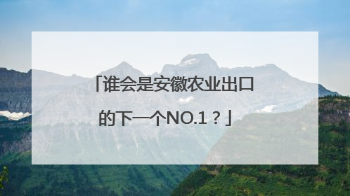 谁会是安徽农业出口的下一个NO.1？
