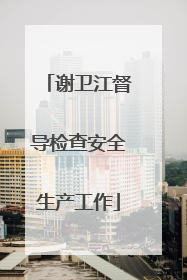 谢卫江督导检查安全生产工作