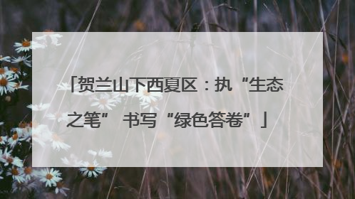 贺兰山下西夏区：执“生态之笔” 书写“绿色答卷”