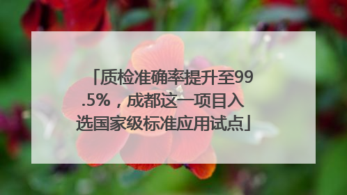 质检准确率提升至99.5%，成都这一项目入选国家级标准应用试点