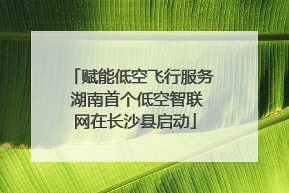 赋能低空飞行服务 湖南首个低空智联网在长沙县启动