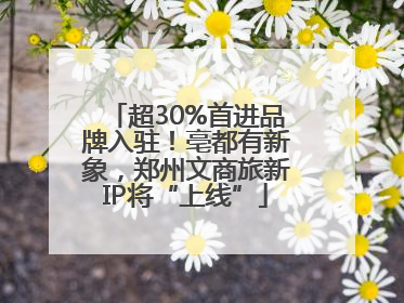 超30%首进品牌入驻！亳都有新象，郑州文商旅新IP将“上线”