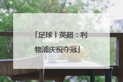 足球丨英超：利物浦庆祝夺冠