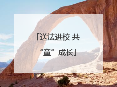 送法进校 共“童”成长