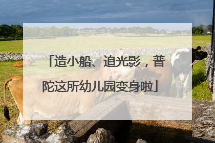 造小船、追光影，普陀这所幼儿园变身啦