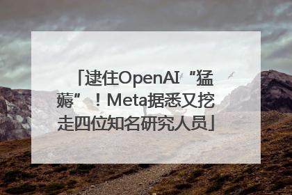 逮住OpenAI“猛薅”！Meta据悉又挖走四位知名研究人员