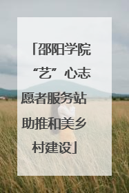 邵阳学院“艺”心志愿者服务站助推和美乡村建设