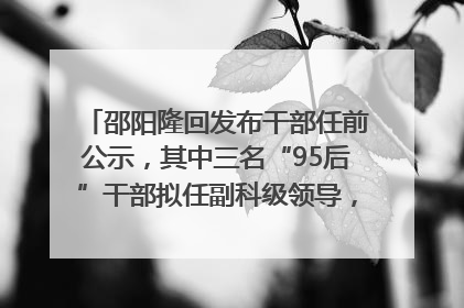 邵阳隆回发布干部任前公示，其中三名“95后”干部拟任副科级领导，均系硕士选调生