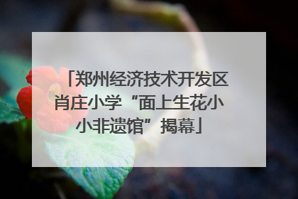 郑州经济技术开发区肖庄小学“面上生花小小非遗馆”揭幕