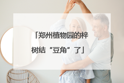 郑州植物园的梓树结“豆角”了