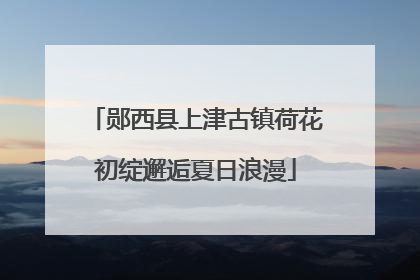 郧西县上津古镇荷花初绽邂逅夏日浪漫