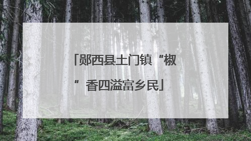 郧西县土门镇“椒”香四溢富乡民