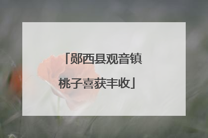 郧西县观音镇桃子喜获丰收