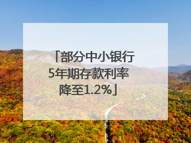 部分中小银行5年期存款利率降至1.2%