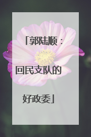 郭陆顺：回民支队的好政委