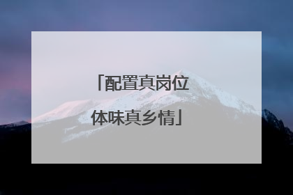 配置真岗位 体味真乡情