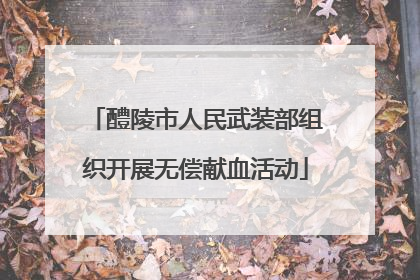 醴陵市人民武装部组织开展无偿献血活动