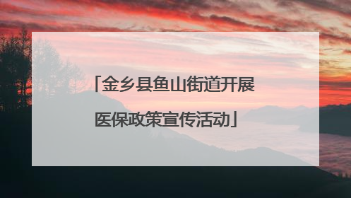 金乡县鱼山街道开展医保政策宣传活动