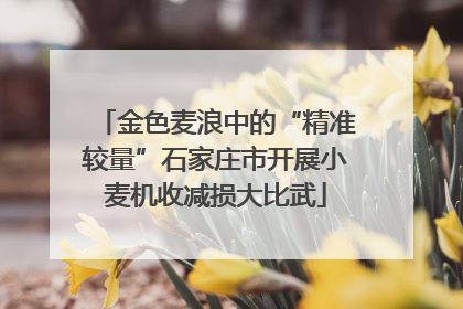 金色麦浪中的“精准较量”石家庄市开展小麦机收减损大比武