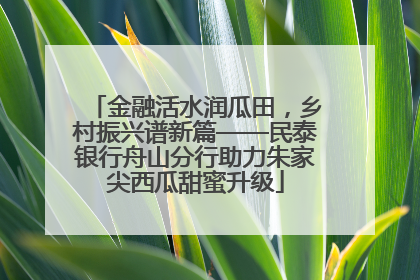 金融活水润瓜田，乡村振兴谱新篇——民泰银行舟山分行助力朱家尖西瓜甜蜜升级