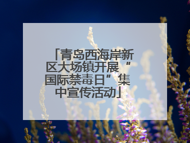 青岛西海岸新区大场镇开展“国际禁毒日”集中宣传活动