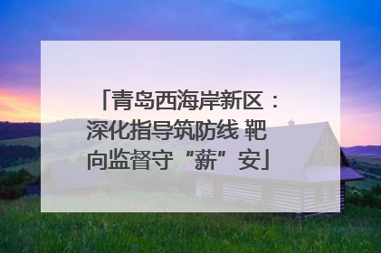 青岛西海岸新区：深化指导筑防线 靶向监督守“薪”安