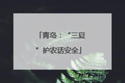 青岛：“三夏”护农话安全