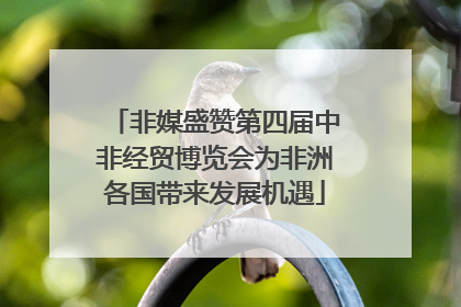 非媒盛赞第四届中非经贸博览会为非洲各国带来发展机遇