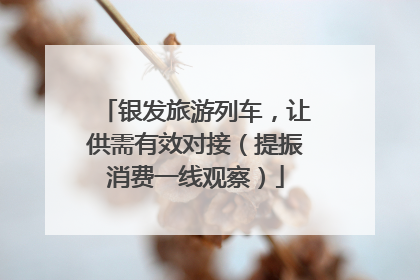 银发旅游列车，让供需有效对接（提振消费一线观察）