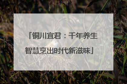 铜川宜君：千年养生智慧烹出时代新滋味