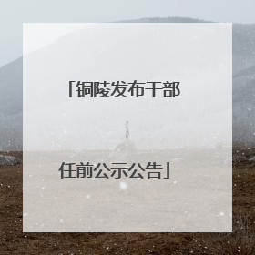 铜陵发布干部任前公示公告