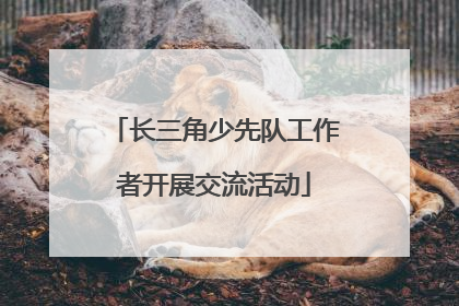 长三角少先队工作者开展交流活动