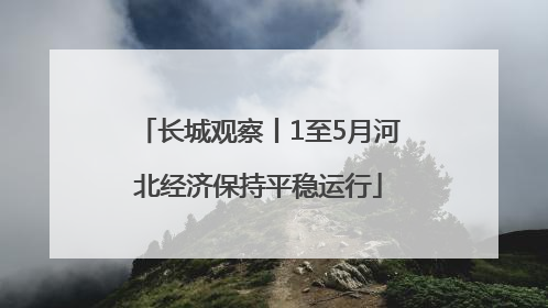 长城观察丨1至5月河北经济保持平稳运行
