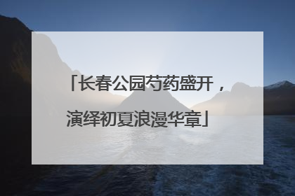 长春公园芍药盛开，演绎初夏浪漫华章