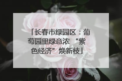 长春市绿园区：葡萄园里绿意浓 “紫色经济”焕新枝