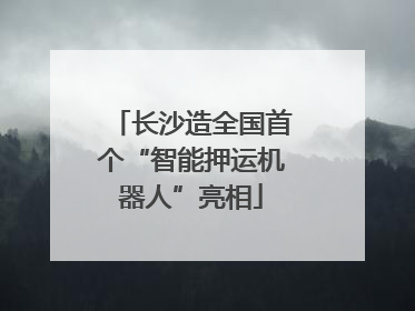 长沙造全国首个“智能押运机器人”亮相