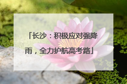 长沙：积极应对强降雨，全力护航高考路