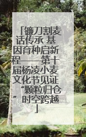 镰刀割麦话传承 基因育种启新程——第十届杨凌小麦文化节见证“颗粒归仓”时空跨越