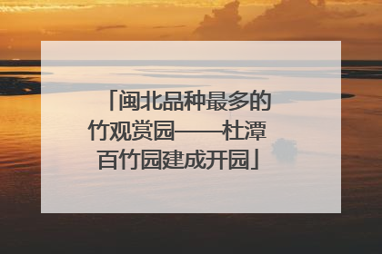 闽北品种最多的竹观赏园——杜潭百竹园建成开园