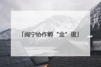 闽宁协作孵“金”蛋