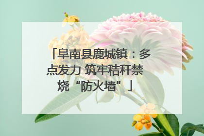 阜南县鹿城镇：多点发力 筑牢秸秆禁烧“防火墙”