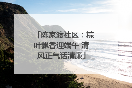 陈家渡社区：粽叶飘香迎端午 清风正气话清廉