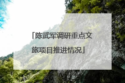 陈武军调研重点文旅项目推进情况
