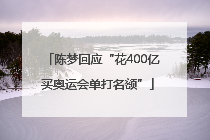 陈梦回应“花400亿买奥运会单打名额”