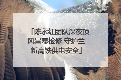 陈永红团队深夜顶风冒寒检修 守护兰新高铁供电安全